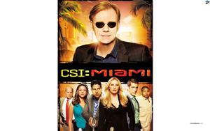 CSI Miami